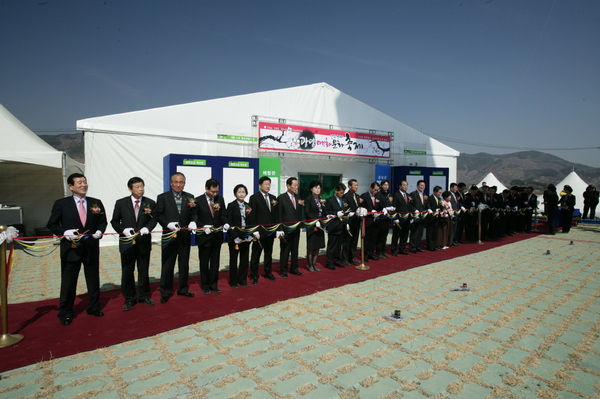 제12회 광양매화문화축제 개막식 _1